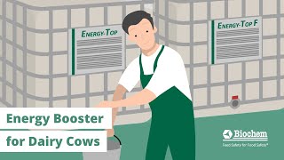 Energy-Top (F) - Energy Booster for Dairy Cows