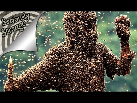 The Stereotypes Song - (Your Favorite Martian music video) from YouTube · Duration: 4 minutes 26 seconds The Stereotypes Song - (Your Favorite Martian music video) from YouTube · Duration: 4 minutes 26 seconds