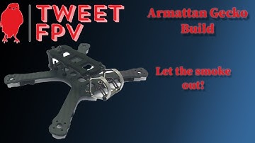 🦎 Armattan Gecko 3" Build (ends in tears 😢)