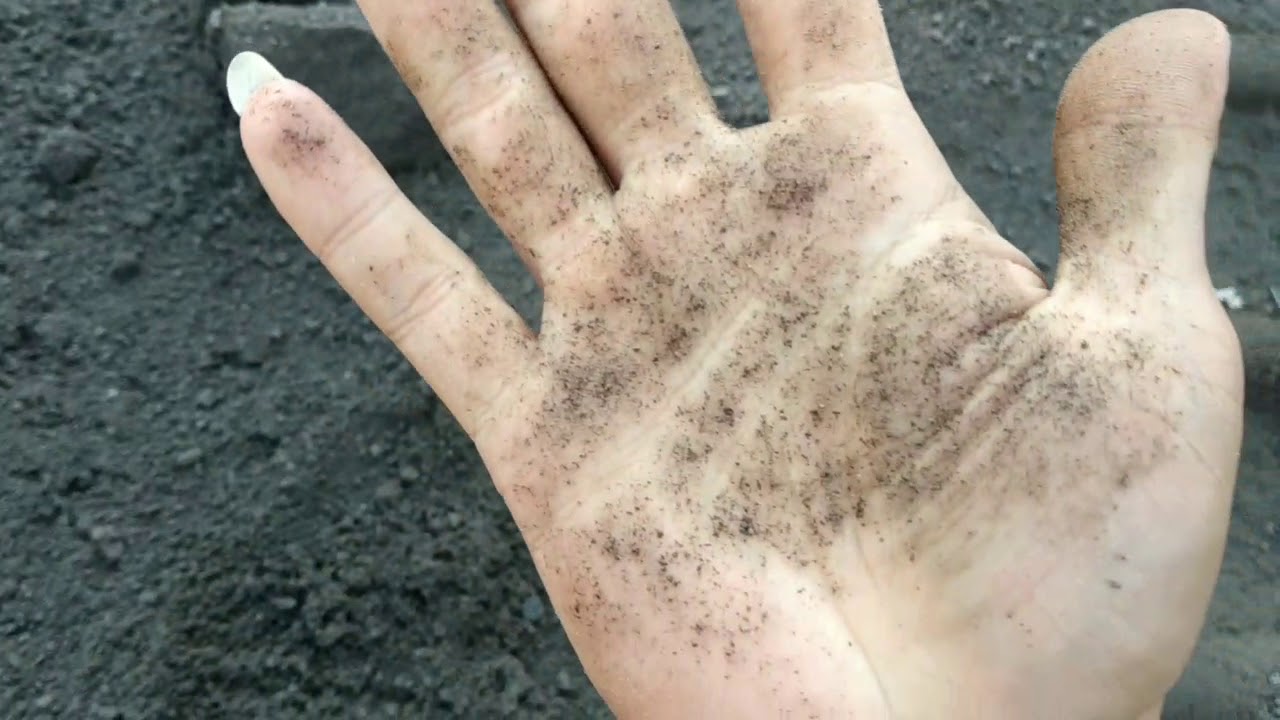 Pasir terbaik untuk beton