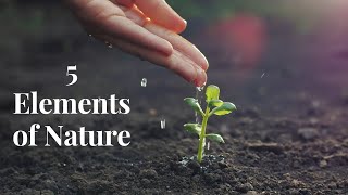5 Elements Of Nature Sounds In 5 Minutes/The Five Elements Sounds Of Earth🌍/Water💧/Fire🔥/Air🌪️/Sky☁️