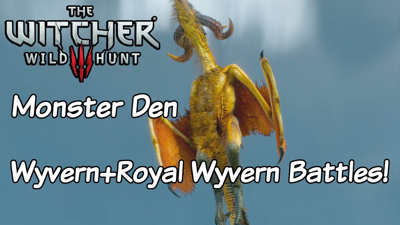 The Witcher 3 Wild Hunt Royal Wyvern Battle / Monster Den YouTube