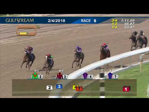 Gulfstream Park Race