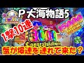 2月11日 パチンコ実践 P大海物語5 見どころ満載 一撃万発 カニが爆連を連れてきた? その他プレミアもあるよ 海好き必見