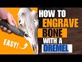 How To Carve A Deer Skull With A Dremel Rotary Tool