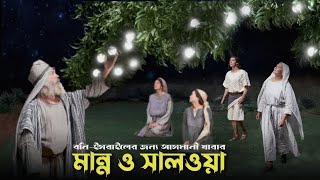 আসমানী খাবার মান্না ও সালওয়া কখন ও কিভাবে বনী-ইসরাইলের উপর নাজিল হয়। Manna and salwa story