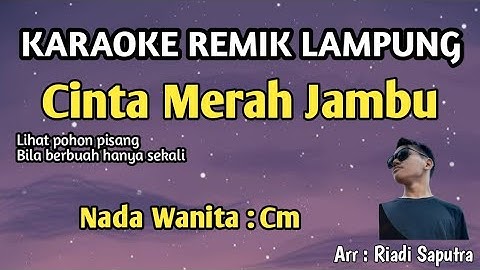 KARAOKE REMIK LAMPUNG | CINTA MERAH JAMBU | NADA WANITA | ARR RIADI SAPUTRA