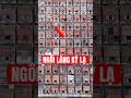 LГ Ng Hoa TГўy CГі 1400 CДѓn NhГ Giб Ng Hб T Nhau Khampha China Travel LГ Ng Hoa TГўy CГі 1400 CДѓn NhГ Giб Ng Hб T Nhau Khampha China Travel