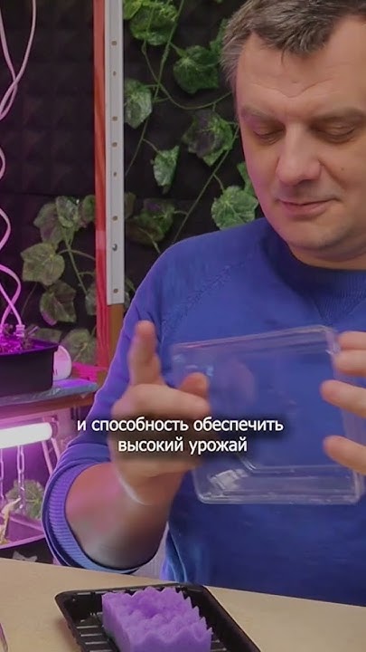 Семена всходят годами! Осторожно! - YouTube