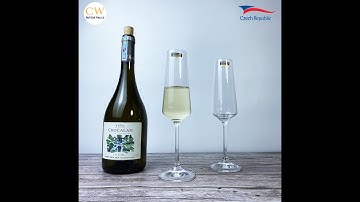 Bộ Ly Champagne Pha Lê Tiệp Khắc Crystalite Bohemia Corvus 160ml