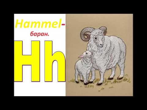 Немецкая иномарка 5 букв