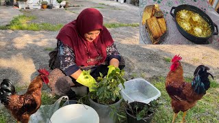 Routine Daily Rural Life in the North Of IRAN | Cooking baghali ghatogh with delicious Fried Fish