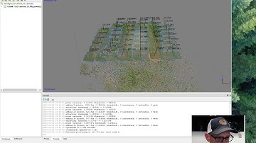 REM 475 Lab - Metashape introduction
