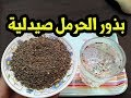 بذور الحرمل صيدلية طبيعية شبه متكاملة فوائد لا تحصى 