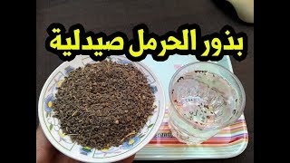 بذور الحرمل صيدلية طبيعية شبه متكاملة فوائد لا تحصى  !!