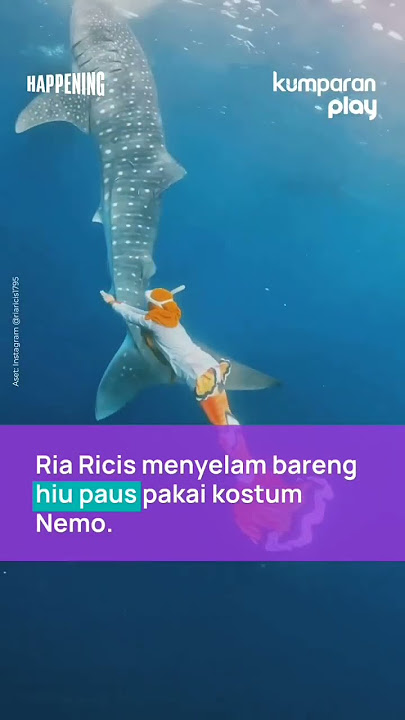Ria Ricis Berenang Bareng Hiu Paus Menggunakan Kostum Nemo