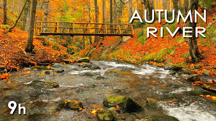 Permanent Link to Autumn River Sounds – Relaxing Nature Video – Sleep/ Relax/ Study – 9 Hours – HD 1080p
