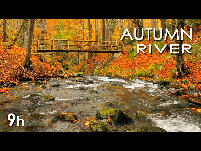 Autumn River Sounds -  Relaxing Nature Video - Sleep/ Relax/ Study - 9 Hours - HD 1080p class=