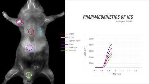 Real-Time Monitoring of Metabolic Rates & Drug Biodistribution