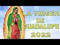 Cántos a la virgen de Guadalup - La Virgen De Guadalupe 2022 - Los Berrenditos Cantos y Alabanzas