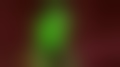 We are number one fast but every time they say one it slow downs for a while || Mister Dingo