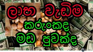 Best Small Business To Start Mada Puwak  Sinhala