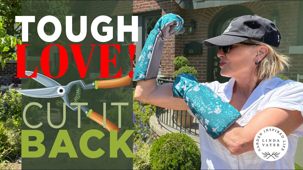 How Do I CUT BACK ? in the Garden?!  ✂️🌿