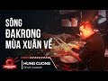 Sng akrong ma xun v drum cam hng cng
