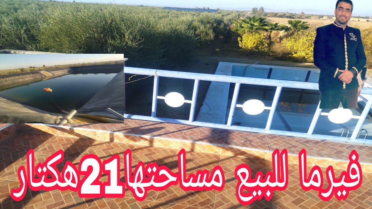 فيرما للبيع مساحتها21هكتار بها6 بيار مجهزين بالطاقة شمسية مغروس فيها 4500شجرة زيتون وبها فيلا ومسبح