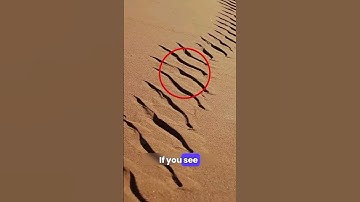 Why These Deserts Marks Are Dangerous