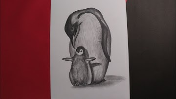 How to draw a realistic penguin and its baby