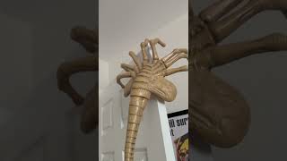 NECA Alien (1979) Facehugger #alien1979 #facehugger #neca #xenomorph #horror #classicmovies