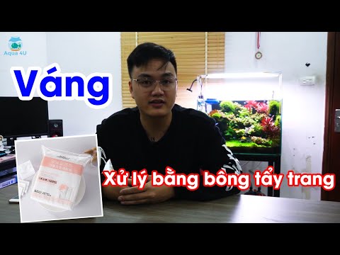 Video Váng trong hồ thủy sinh | Nguyên nhân và cách khắc... - youtube