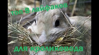 топ 8 лайфхаков для кроликовода