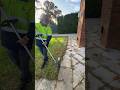 Overgrown edge? No worries 🌱 @MilwaukeeToolsAus #shortsvideo #shortsfeed