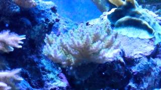 DSCN0105 DSCN0105