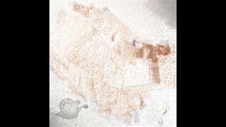 Download Lagu Celer - Melodia (Full Album) MP3