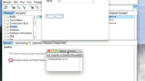 Variable Watches in the Debugger