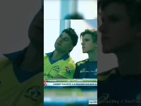 Australian Cricketers Love relationship❤️ in Air. Adam Zampa and Marcus Stoinis. #Cricket #Australia