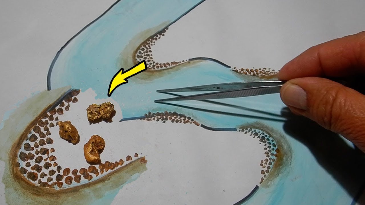 ¿Cuáles son las curvas de los ríos que tienen mas ORO?Massive Flour Gold Deposit