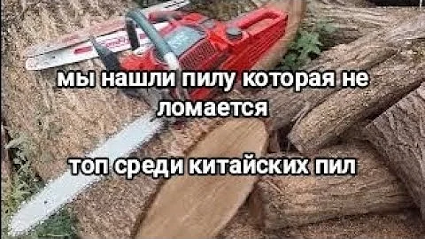 Бензопила, которая оказалась лучше остальных 