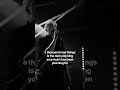 @AThousandMadThings dark pop king of our hearts #darkpop #synthwave #goth