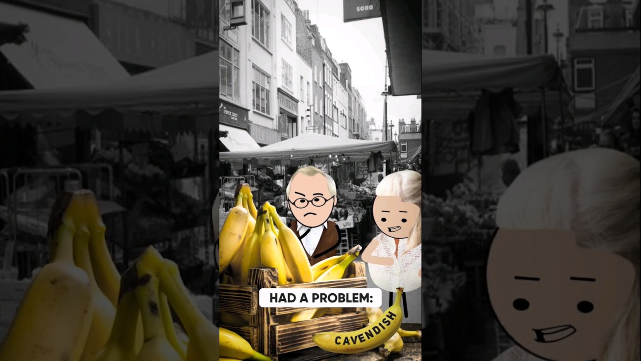 Why bananas are becoming extinct 🍌 💔