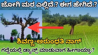 ಜಗ ನನಪಗಗ ಮರವನನ ಕಡಯದ ಬಟಟದದರ ತಯ ಕಣತ ಹಕ ಮರ ಇಲಲದ ನಡ Jogi Tree