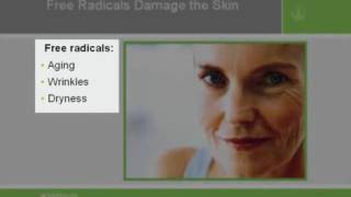 Nutrition Education Program  Module 10  Skin Health  Lesson 2