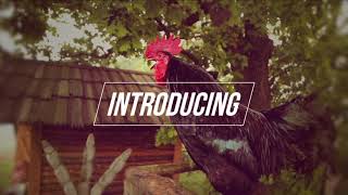 Armattan Rooster Wake Up Call