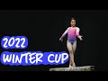 Gymnastics 2022 winter cup highlights
