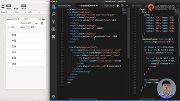 第45讲 微信小程序表单组件之picker view