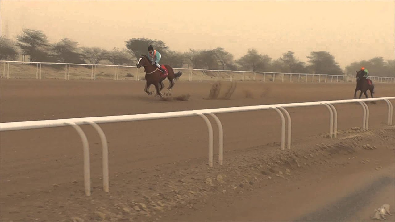 ازهلهم لإسطبل البرازي