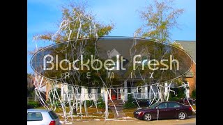 Tupac Shakur - Picture Me Rollin // Blackbelt Fresh Remix (DnB)